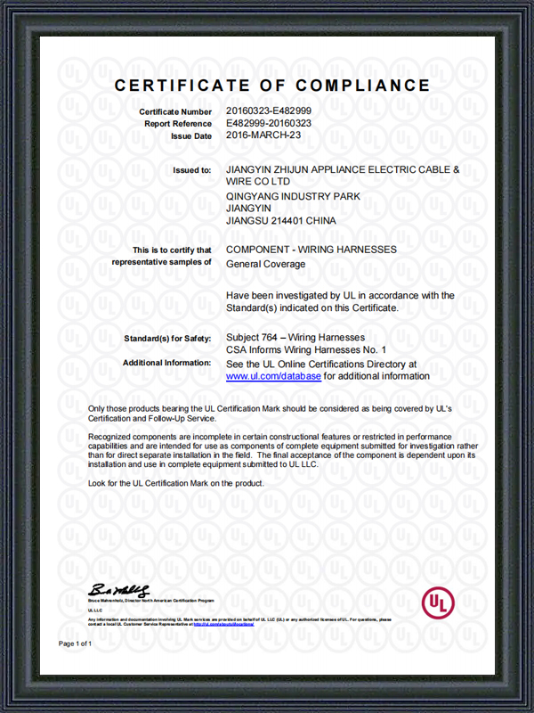 江陰 Zhijun アプライアンス電線有限公司